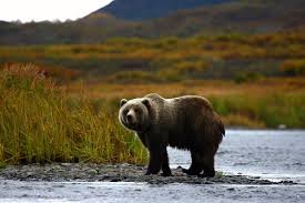 San Francisco to Fairbanks Alaska or Vice Versa $298 RT Airfares on Delta Air Lines BE (Travel October - February 2024)