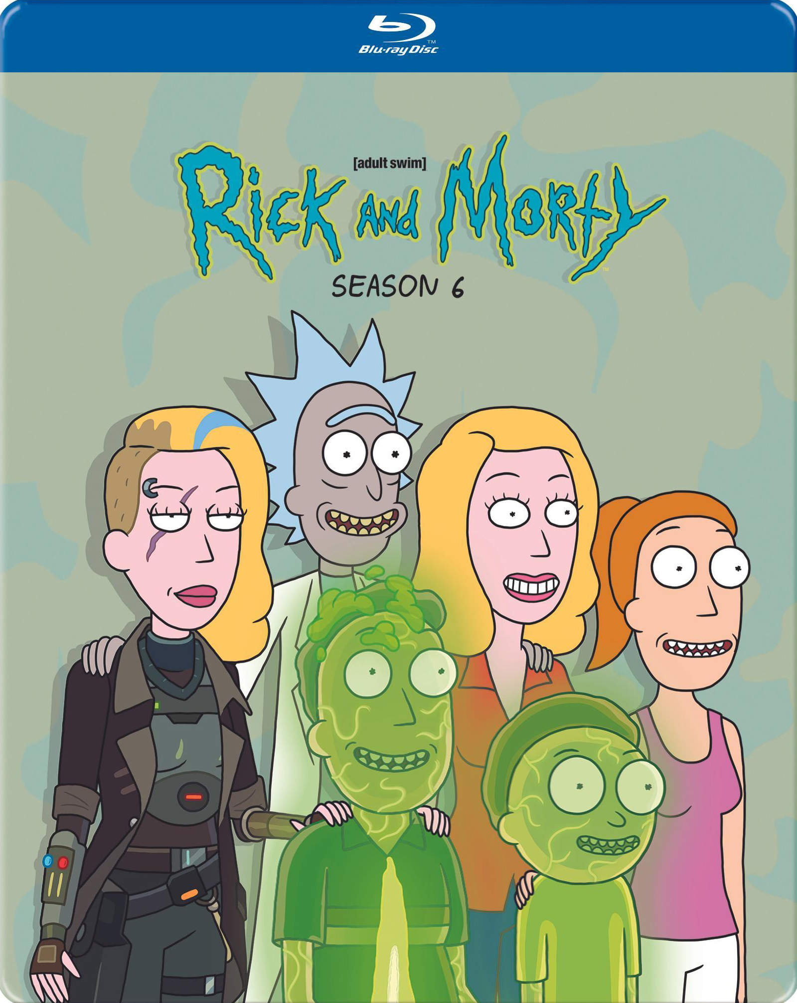 Rick and Morty: The Complete Sixth Season SteelBook Blu-ray $6 from Best Buy