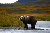 San Francisco to Fairbanks Alaska or Vice Versa $298 RT Airfares on Delta Air Lines BE (Travel October
